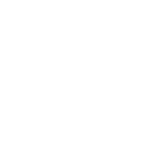 DSG-Talent-Academy-logo-Outline-white